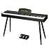 Пианино цифровое EMILY PIANO D-47 BK